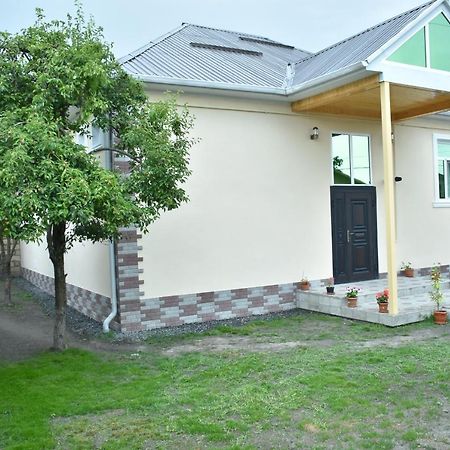 Villa_Nihad Gabala Exteriér fotografie